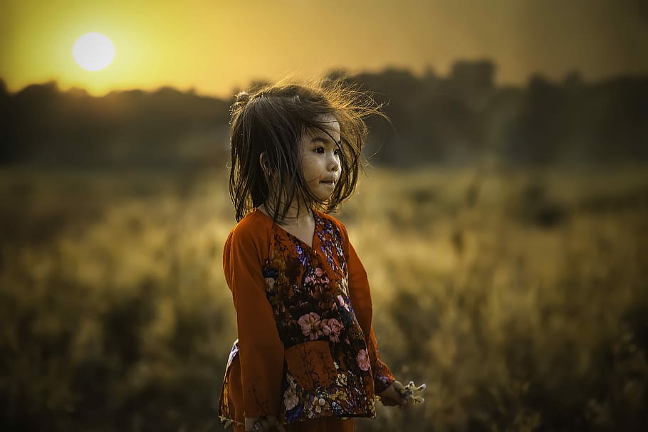 girl standing near field, girl standing near dried grass field during sunset HD wallpaper