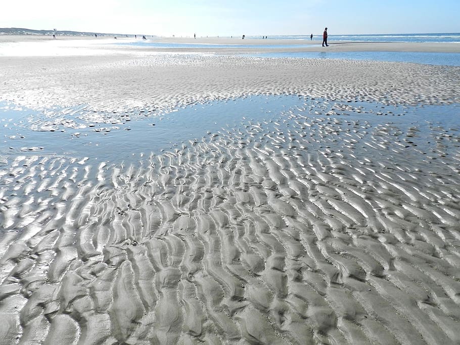 Juist, Ebb, Flood, Water, Holiday, north sea, watts, wadden sea HD wallpaper