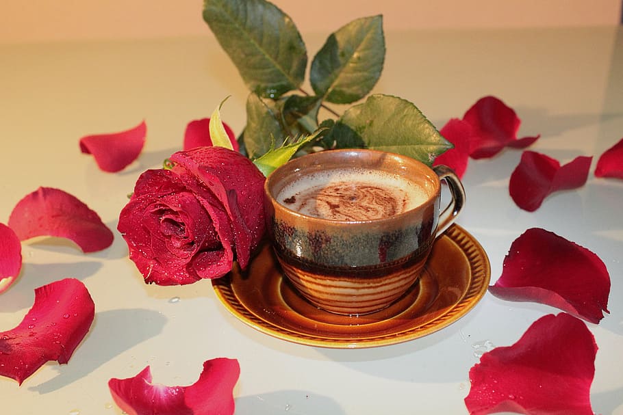 rose, coffee, cup, foam, drink, petals, freshness, food and drink HD wallpaper