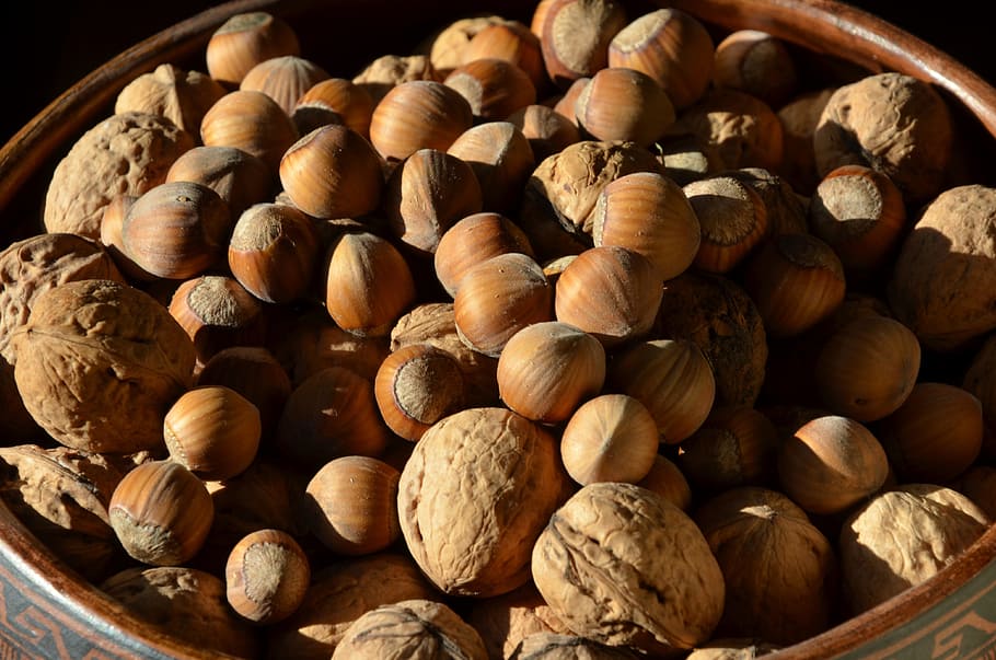 nuts, hazelnuts, walnuts, autumn, brown, tasty, food, tree fruit HD wallpaper