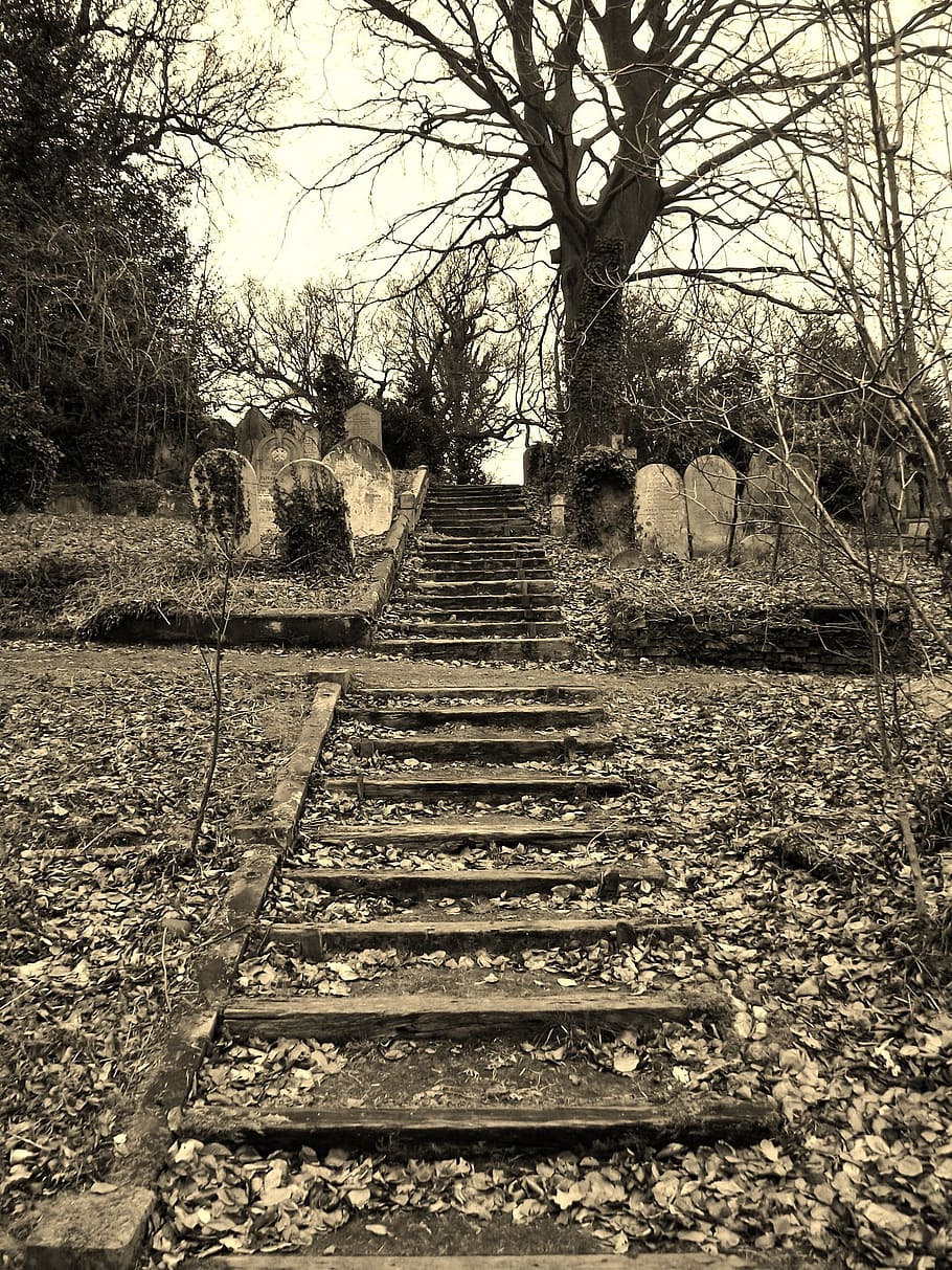 Cemetery, Steps, Graveyard, Old, tomb, dead, churchyard, norfolk HD wallpaper