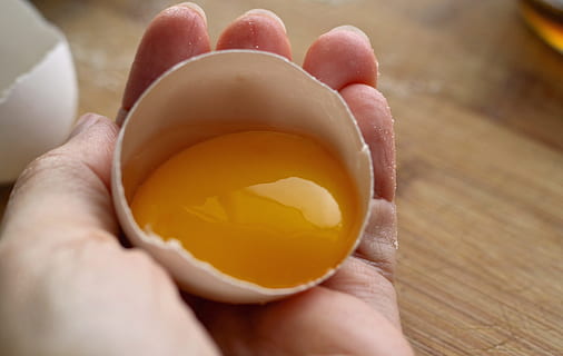 person holding shell with egg yoke, raw, white, yolk, yellow HD wallpaper