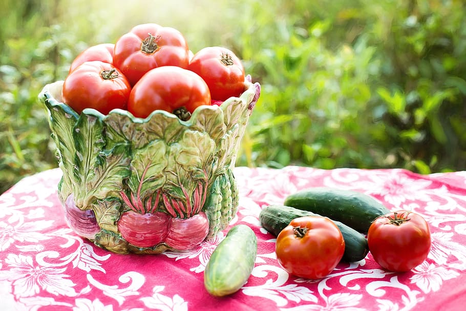 shallow focus photography of tomato and cucumber, tomatoes HD wallpaper