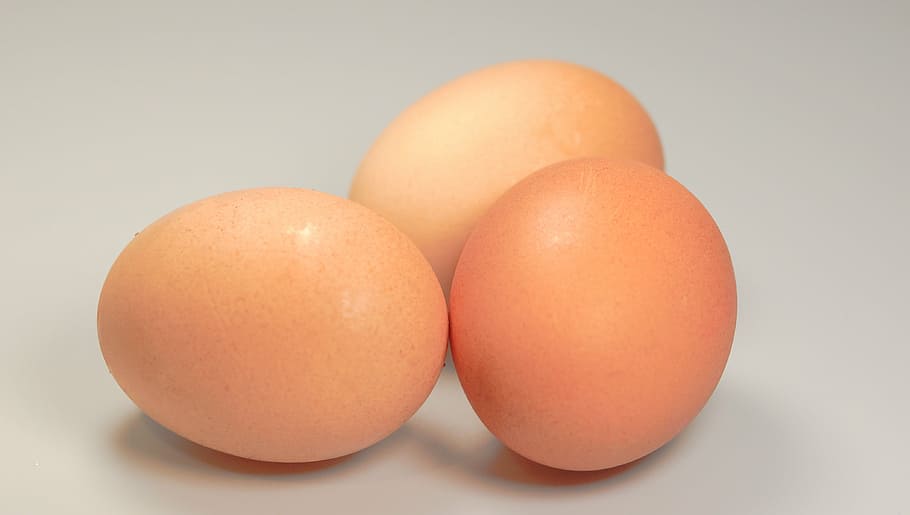 three brown eggs, food, round, freshness, animal Egg, organic HD wallpaper