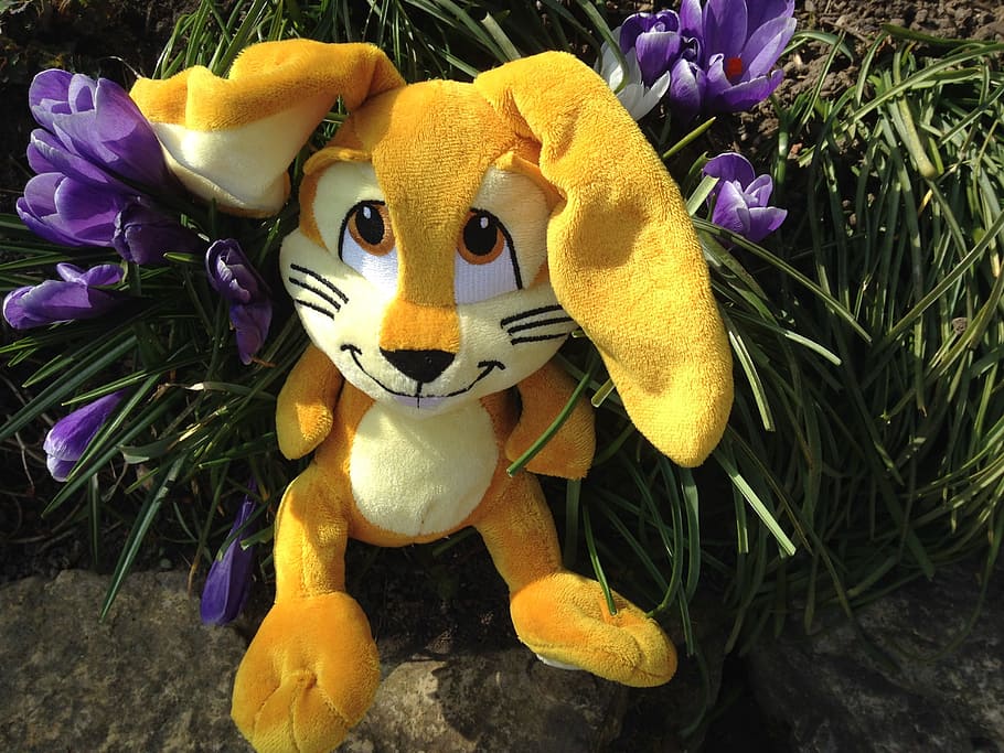 easter bunny, hare, spring, representation, toy, flower, flowering plant HD wallpaper