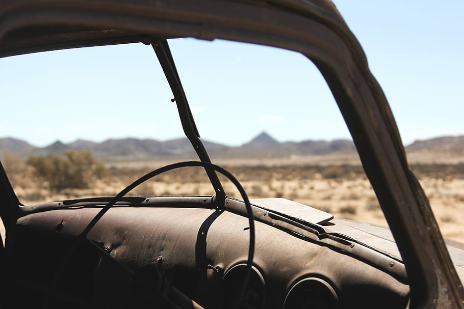 black car steering wheel in shallow focus lens, vehicle near bush under clear blue sky during daytime HD wallpaper