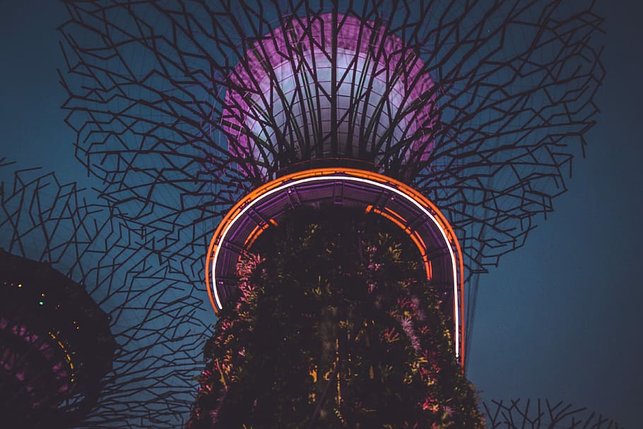 purple and beige tower during daytime, photography of black and purple tower HD wallpaper