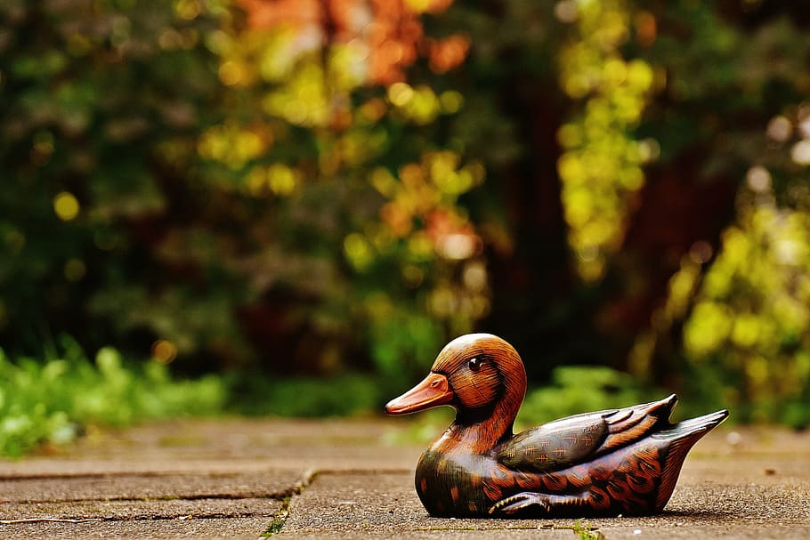 duck, deco, figure, cute, sweet, animal, colorful, bird, nature HD wallpaper