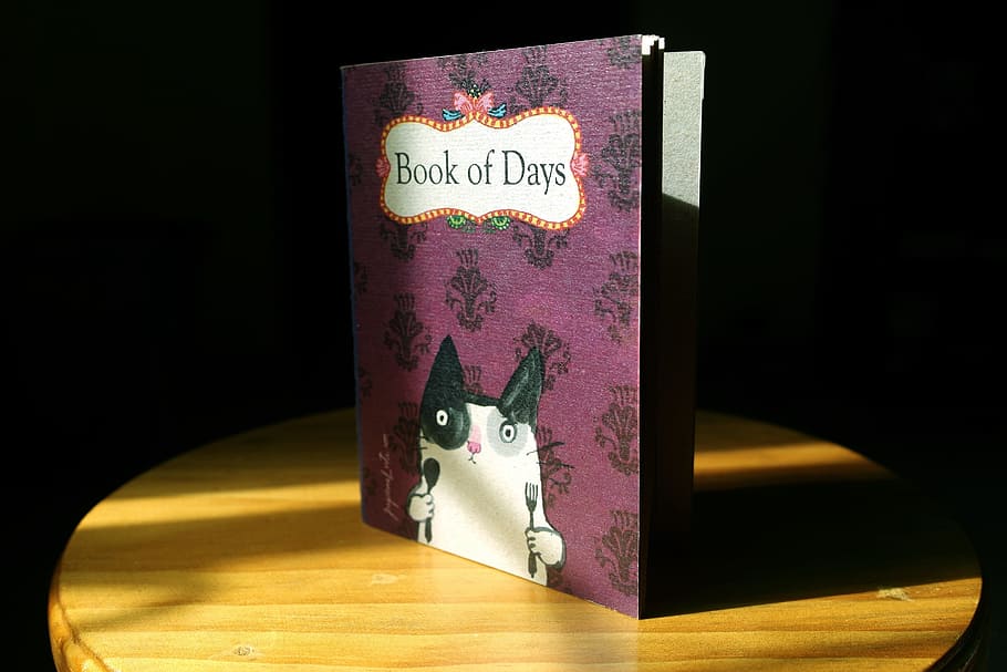 Instagram, Book, Notebook, Planner, days, cat, cute, red, maroon HD wallpaper