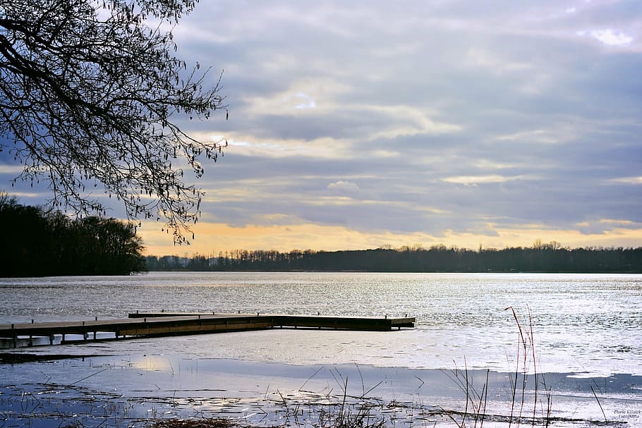 bridge, lake, sky, landscape, wolsztyn, nature, tree, water HD wallpaper