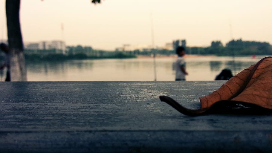 small fresh, defoliation, beautiful, human body part, sky, one person HD wallpaper