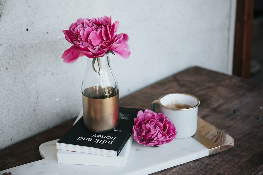 pink flower on clear glass vase placed on top of black covered book HD wallpaper