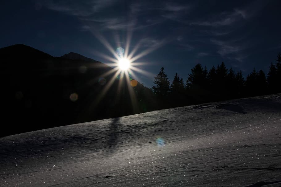 Winter, Night, Snow, Wintry, Snowdrift, winter night, cold HD wallpaper