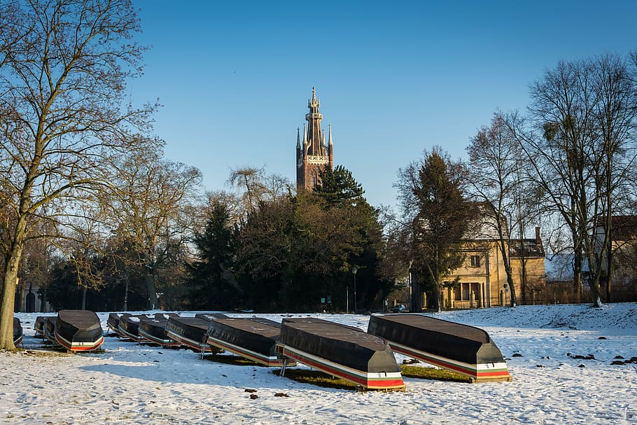 winter, park, park wörlitz, cold, snow, trees, landscape, wintry HD wallpaper