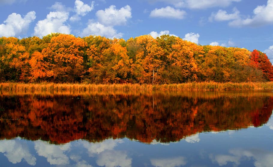 photo of body of water across green and orange trees during daytime HD wallpaper