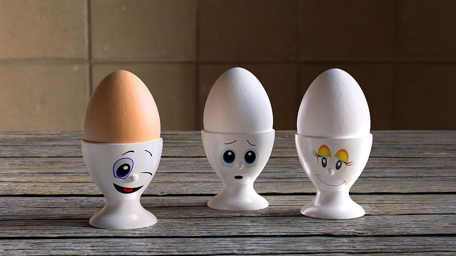 three eggs on round white racks, kitchen, chill out, rival HD wallpaper