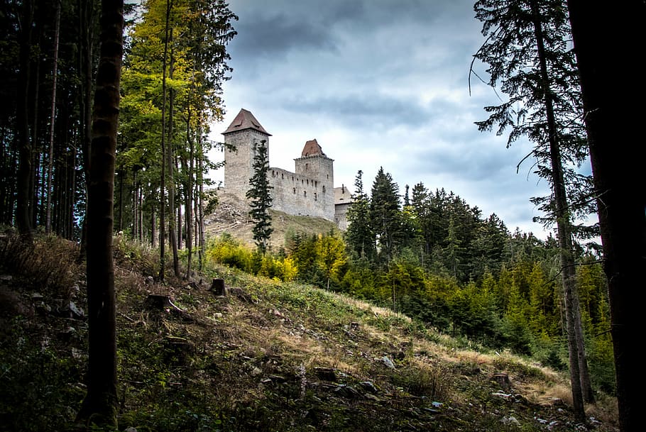 white concrete building surrounded by trees, castle, old, ruins HD wallpaper