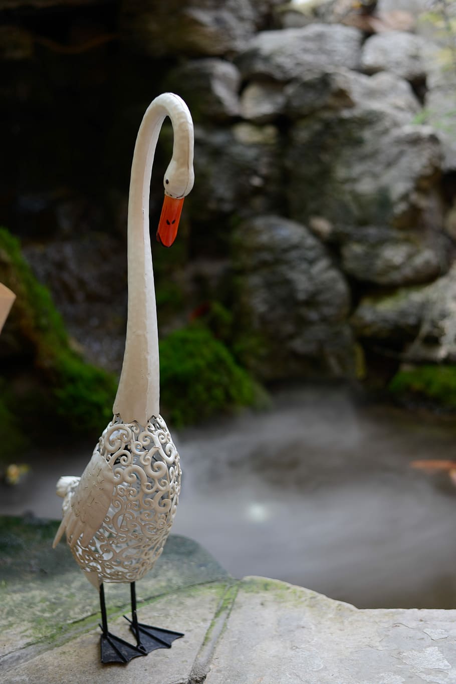 Swan, Garden, Landscape, one animal, animals in the wild, animal wildlife HD wallpaper