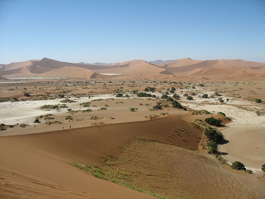 namibia, desert, dunes, sand, africa, sandy, namib desert, landscape, HD wallpaper