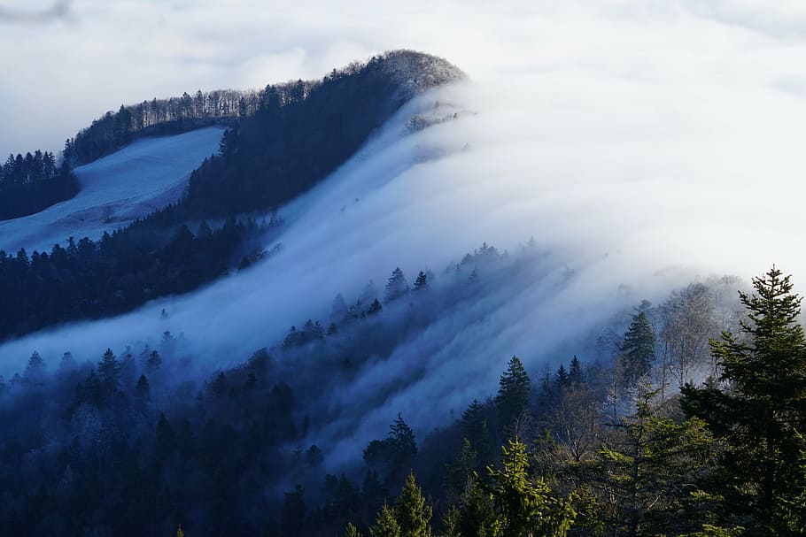 cloud covered mountain forest, fog, nebellandschaft, wave of fog, HD wallpaper