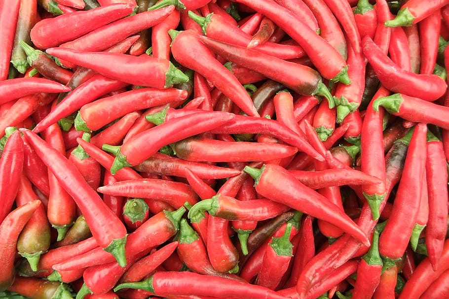 chili, pepperoni, sharp, red, vegetables, spice, food, chilli HD wallpaper