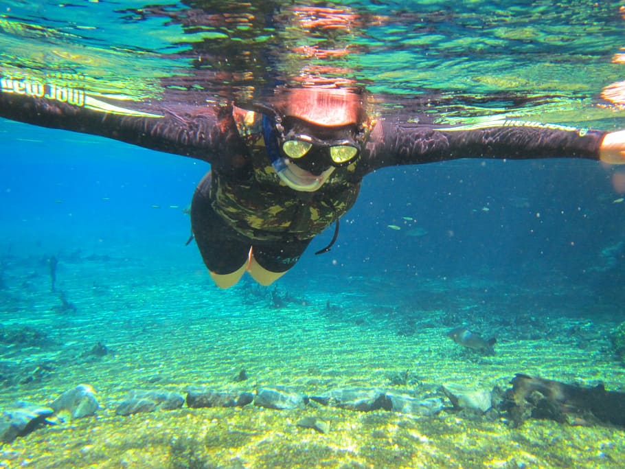 diving, fluctuation, nature, sea, water, underwater, undersea HD wallpaper