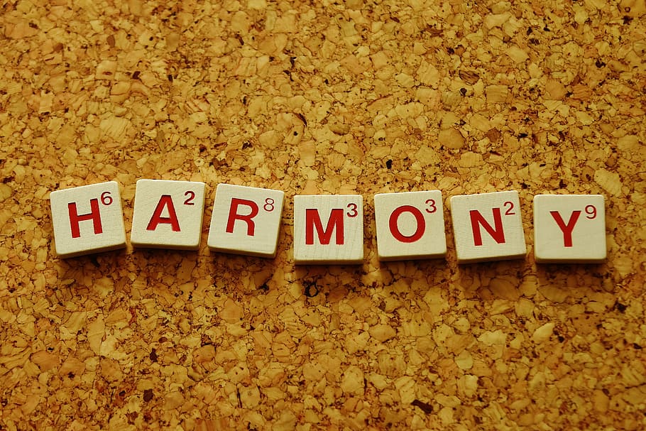 closeup photo of harmony scabble piece, line, satisfaction HD wallpaper
