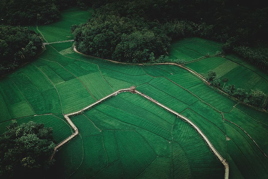 birds eye view of field, aerial landscape photography, grass HD wallpaper