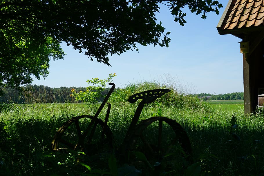 Old summer. Поле порядка 4. Nostalgia field.