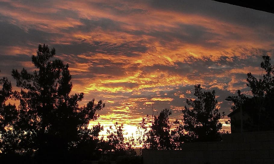 sunset, clouds, sunset background, dramatic, orange sky, forest HD wallpaper