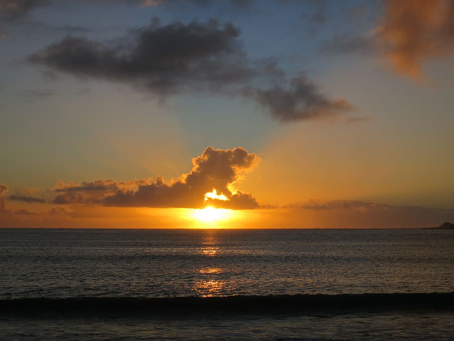 body of water, sunset, cloud, lion, sky, sea, beauty in nature HD wallpaper