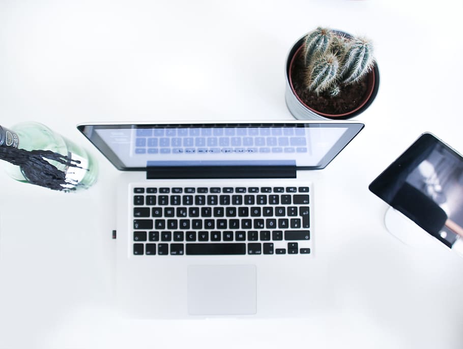 MacBook Pro beside potted cactus, laptop, apple, computer, browser HD wallpaper