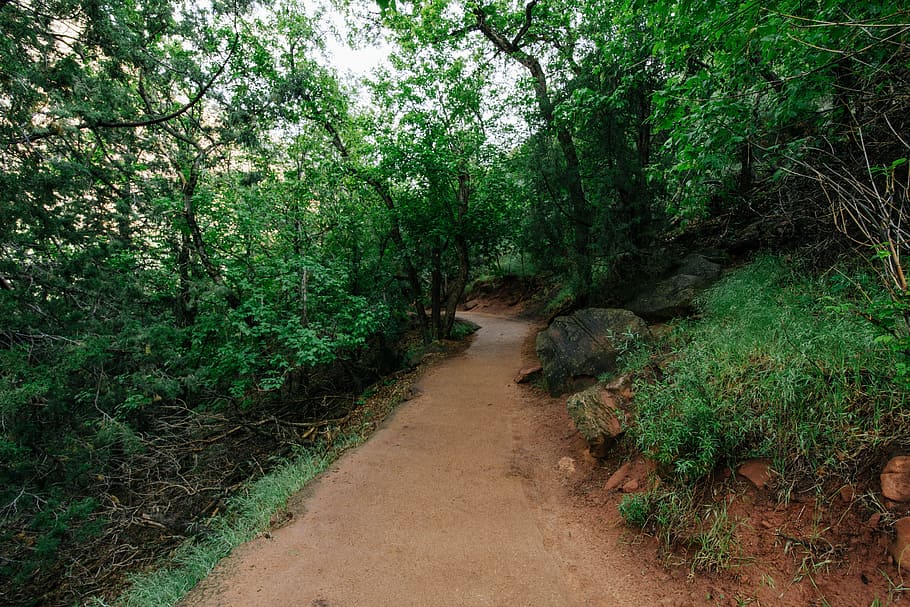 hiking, trekking, trail, path, dirt, outdoors, nature, trees HD wallpaper