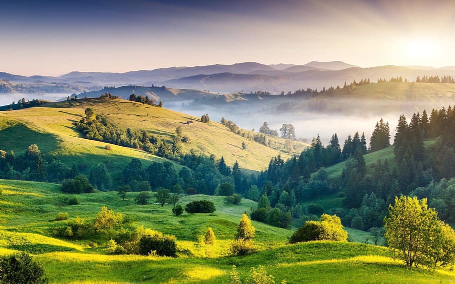 green hill with trees, kodaikanal, hill station, india, nature