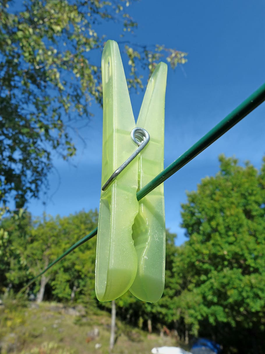 clothespin, plastic, wire, plant, tree, nature, green color HD wallpaper
