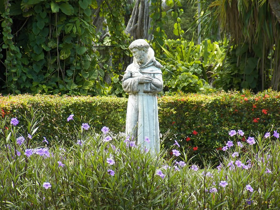 statue in the middle of garden, st francis, st francis statue, HD wallpaper