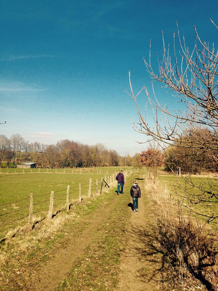hiking, landscape, spring, trail, sky, tree, plant, field, nature HD wallpaper