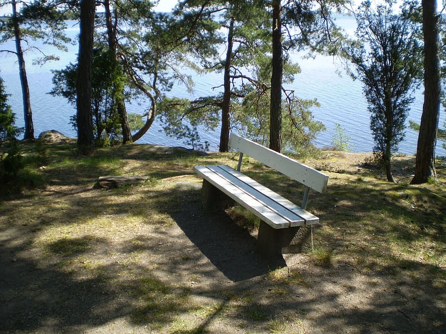 thoughts, considering, sofa, think, lake, park, summer, go HD wallpaper