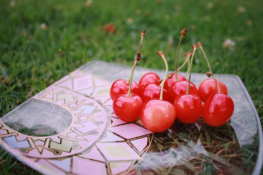 10 red Cherries on plate, food, fruit, summer, outdoors, grass HD wallpaper