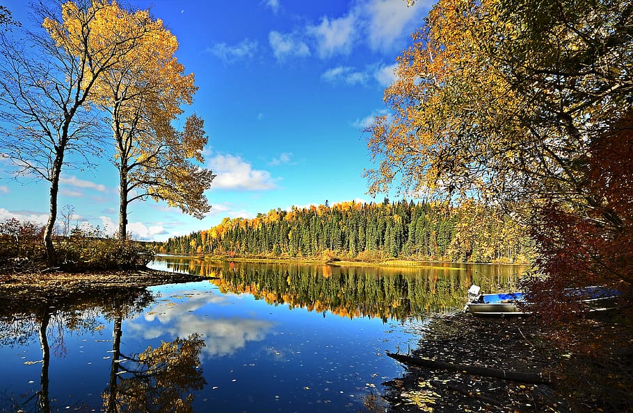 river between green leafed trees during daytime, fall, lake HD wallpaper