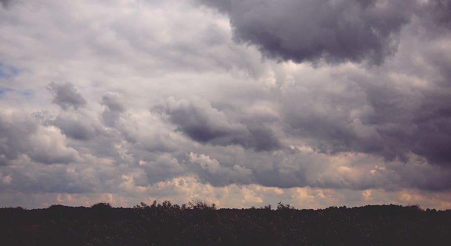 trees under cloudy sky, clouds, nature, weather, cloudscape HD wallpaper