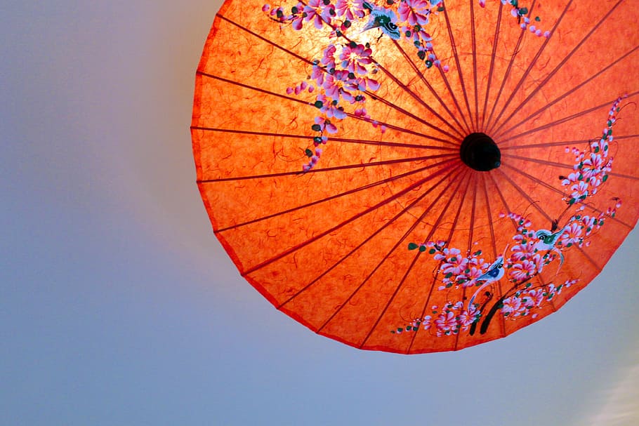 orange and pink floral umbrella, thailand, parasol, japan, bangasa, HD wallpaper