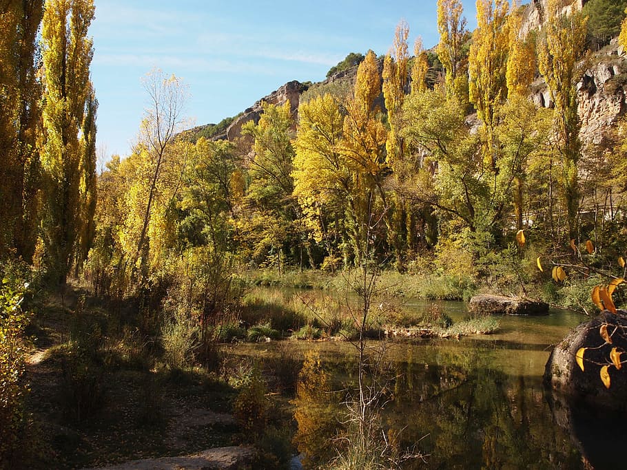 river, poplars, reflection, water, landscape, nature, autumn HD wallpaper