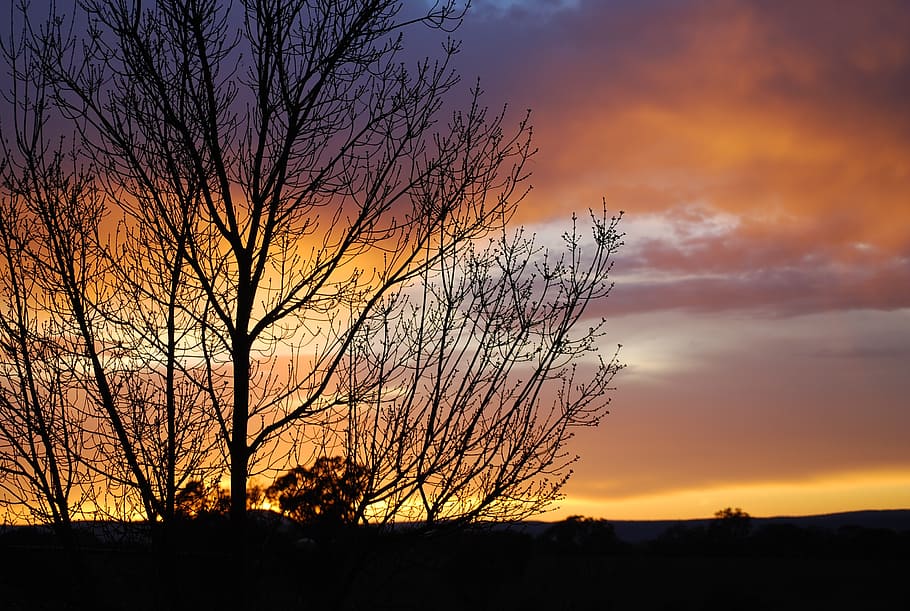 sunset, sky, evening, claret ash, clouds, sunset sky, nature HD wallpaper