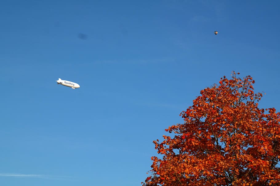 zeppelin, fly, rigid airship, sky, blue, aviation, white, balloon HD wallpaper