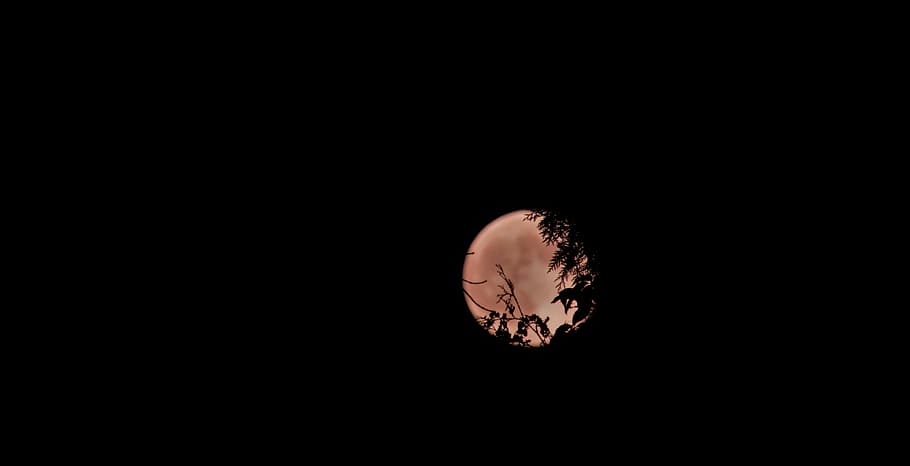 red moon wallpaper, photo of full moon, copy space, studio shot HD wallpaper