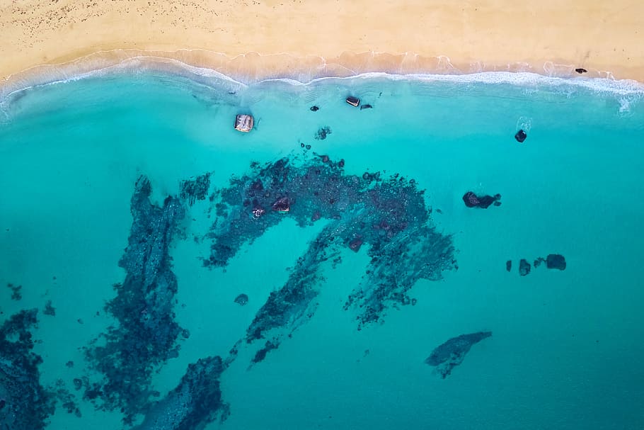 aerial photography of body of water, aerial view of beach, turquoise HD wallpaper