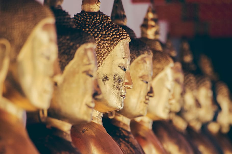 brass Gautama statue in tilt shift photography, selective focus photograph of gold Gautama Buddha statue HD wallpaper