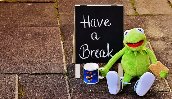 Kermit the Frog plush toy, cup, drink coffee, break, coffee break HD wallpaper