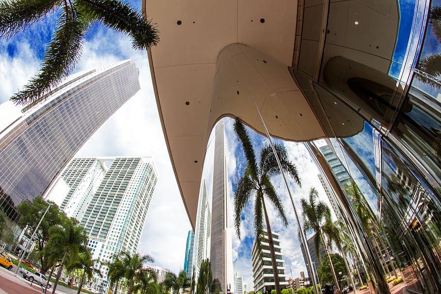 cities, miami, built structure, architecture, building exterior HD wallpaper